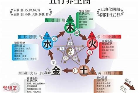 水旺缺木|八字五行水旺缺木的人该怎么办